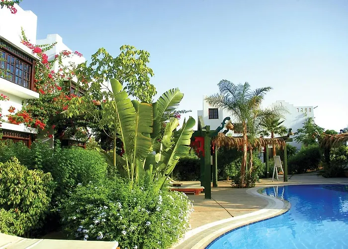 Herrmes اجانب فقط Hostel *